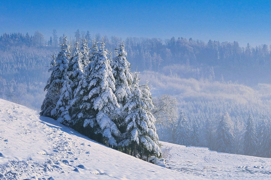 Die Winternatur wird weiß
