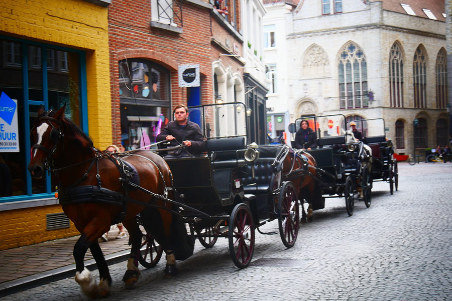 Transporte de carruajes de caballos