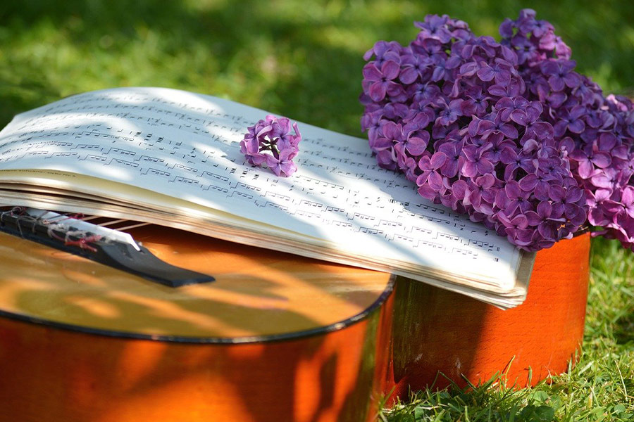 Musikinstrument Gitarre