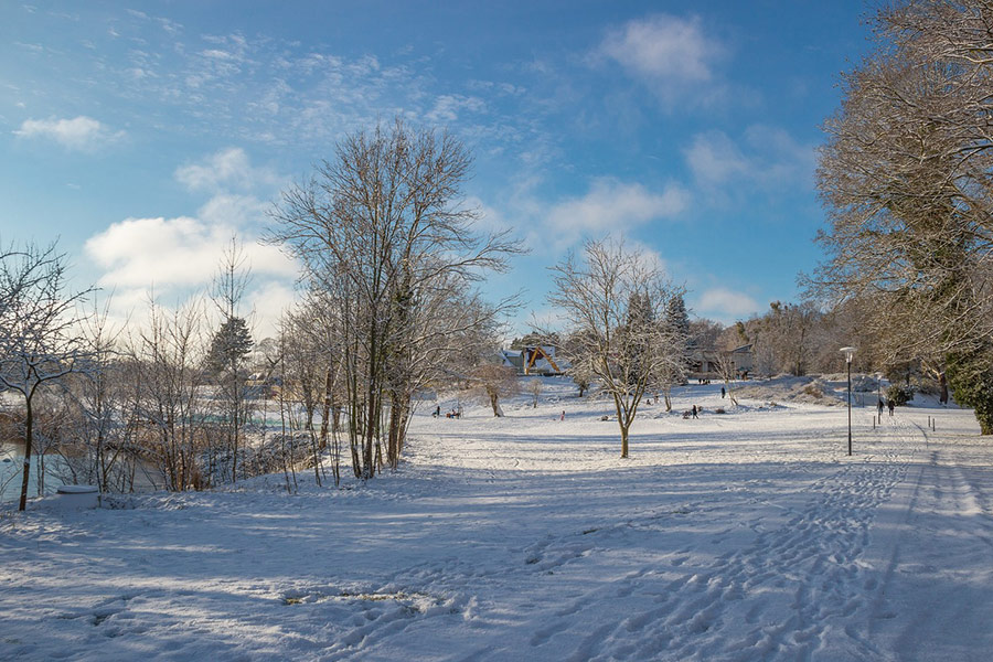 Landscape park winter time
