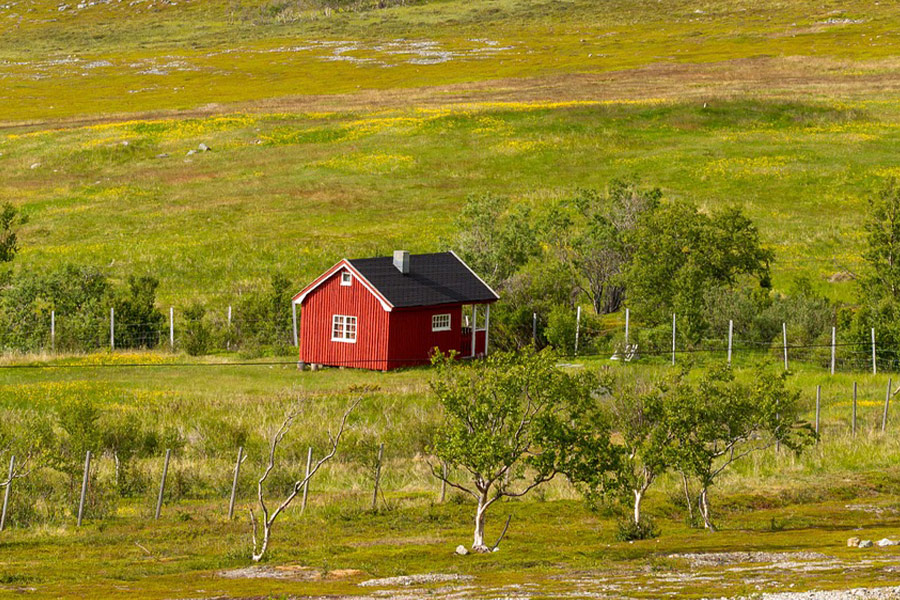 Cottage house landscape