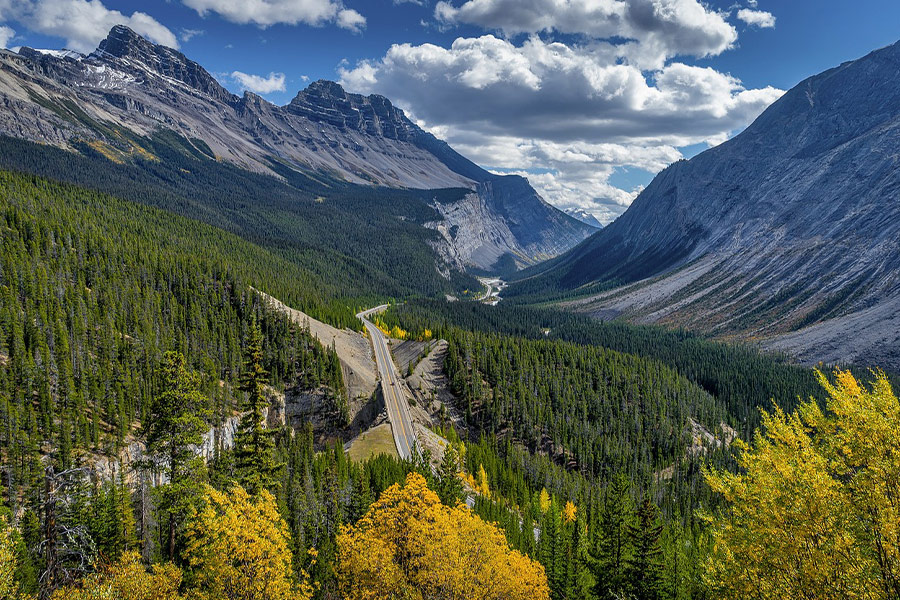 Valley mountains forest image