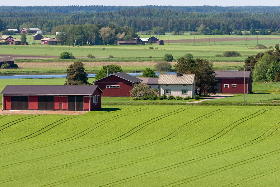 Countryside greeny farms