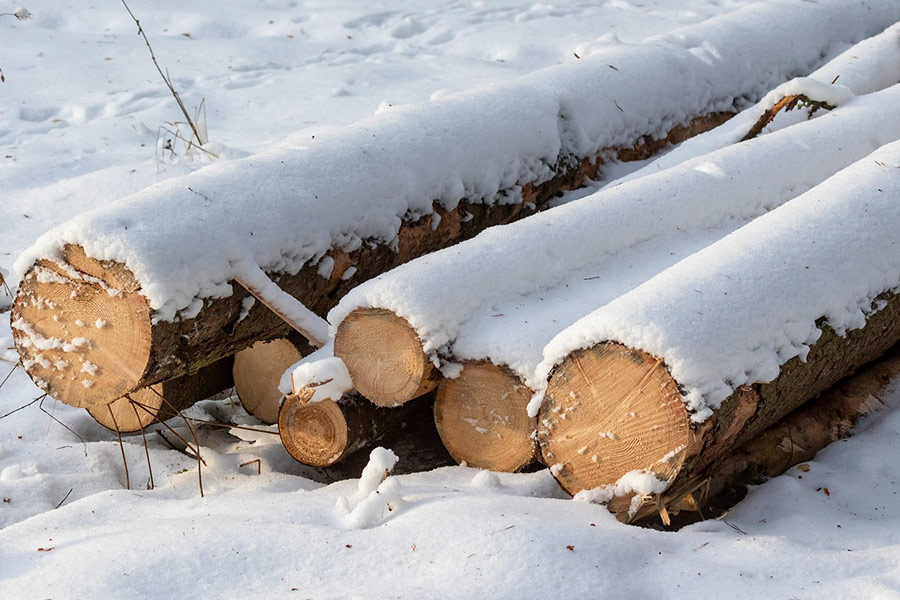 Log wood winter time