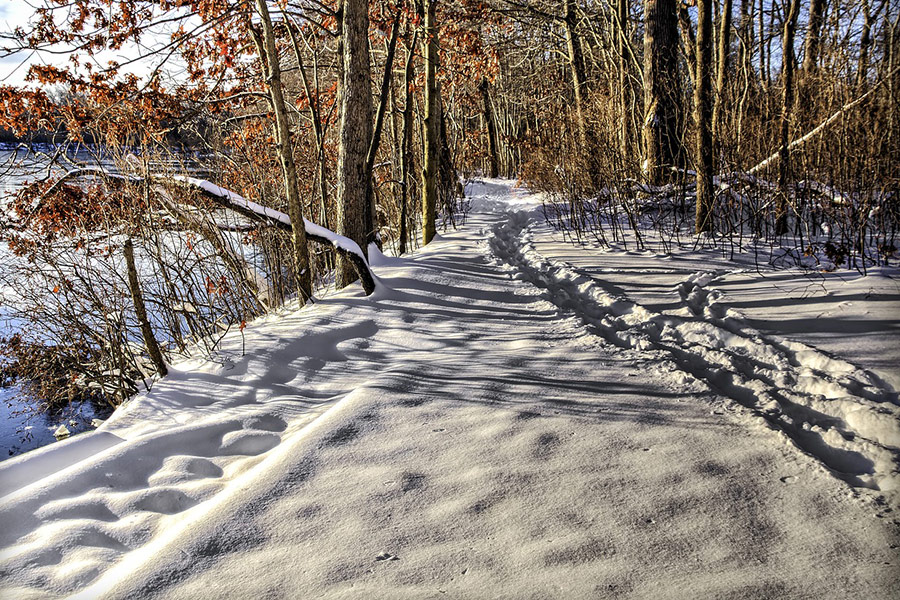 Path snow track