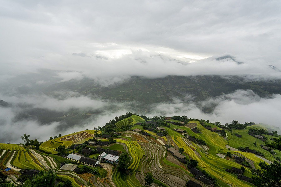 Residential paddy field step