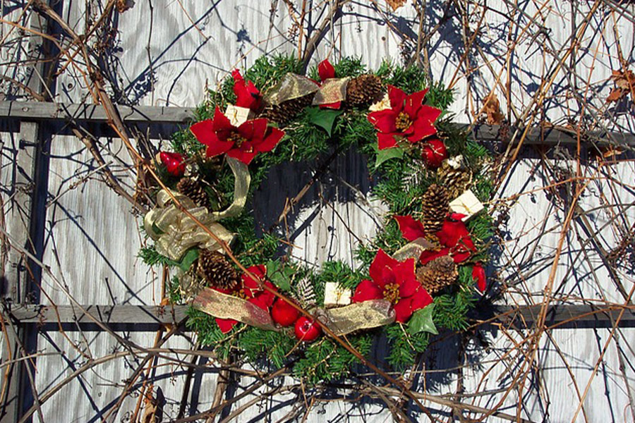 Poinsettias wreath floral flowers