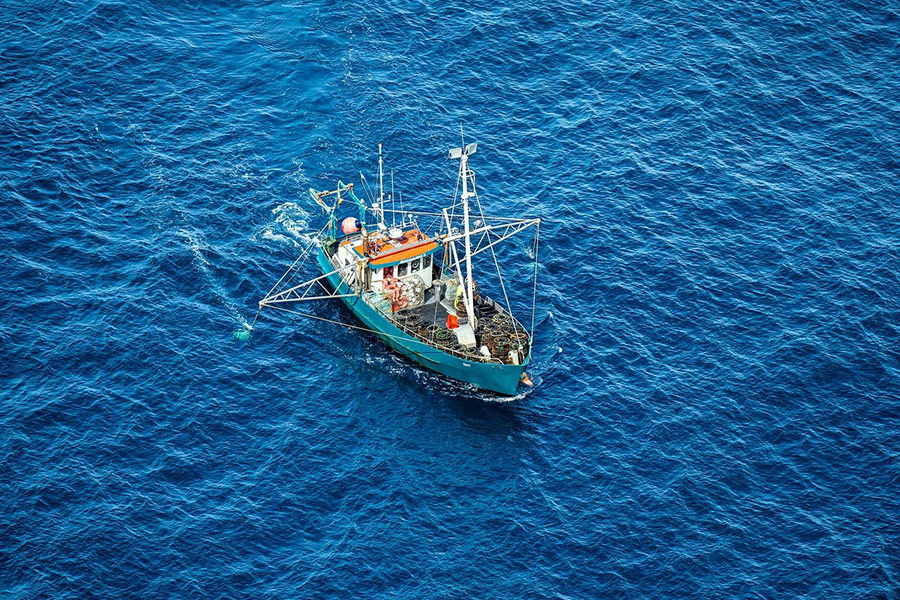 Fishing boat devonport