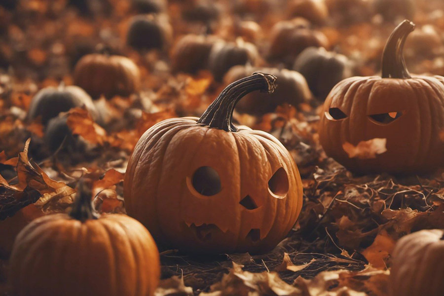 Pumpkins halloween celebration