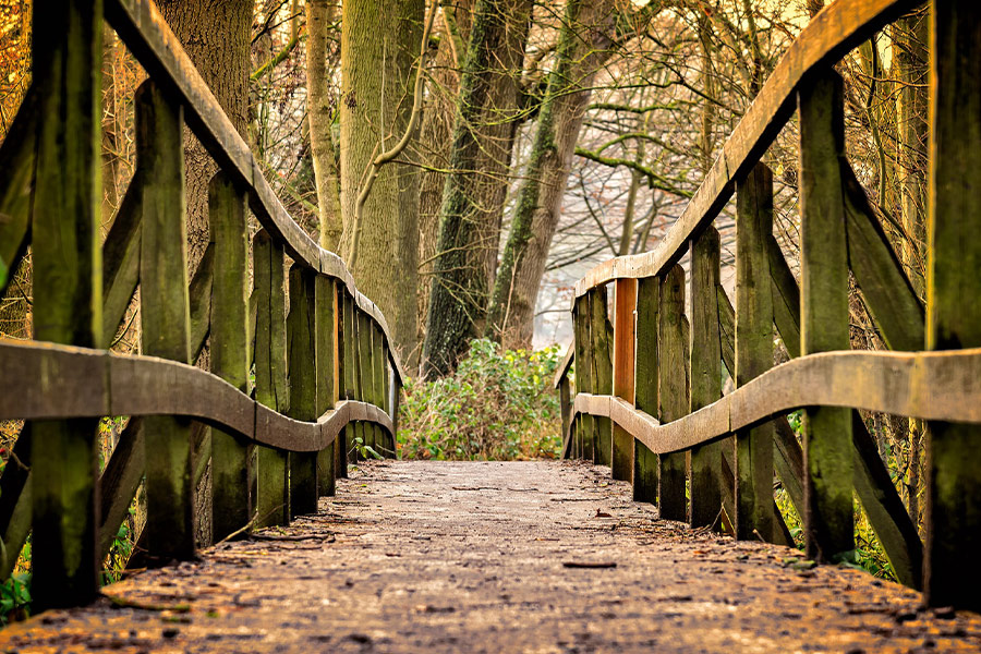 Wooden bridge park path