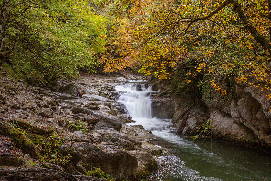 Stream nature landscape autumn