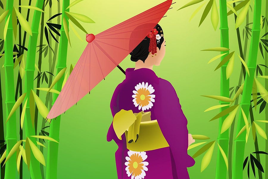 Bamboo grove Japan illustration