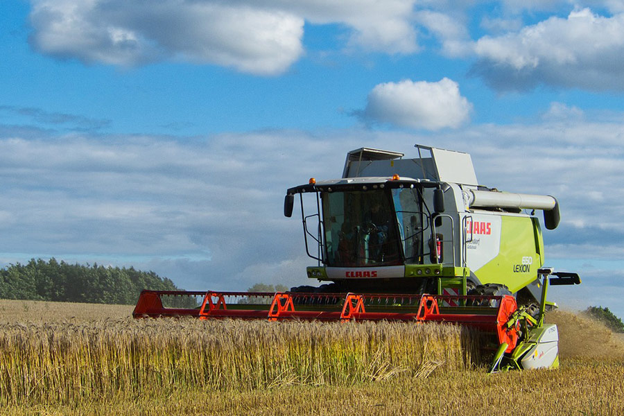 Barley field harvesting