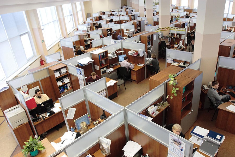 Office cubicles with employees