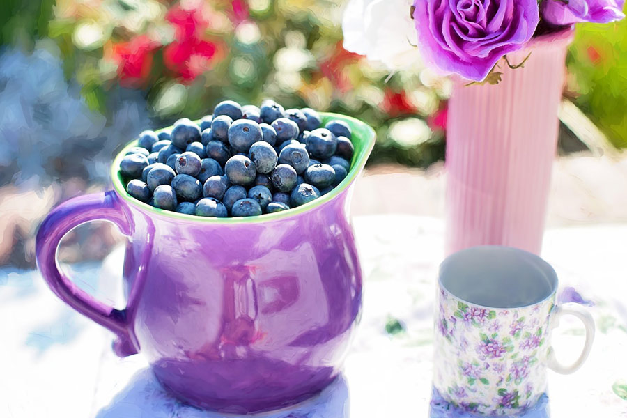 Blueberries fruits pitcher