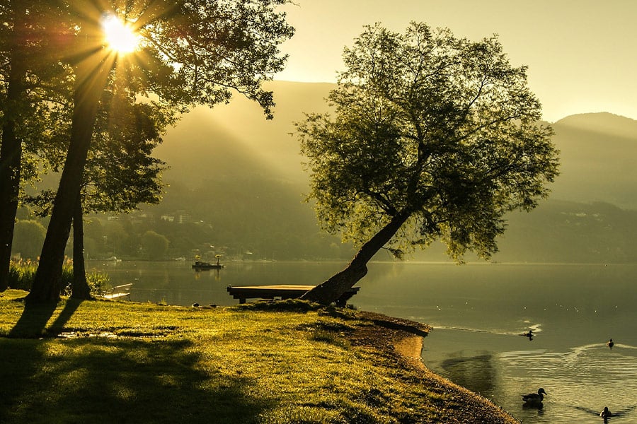 Summer landscape sunrise mood