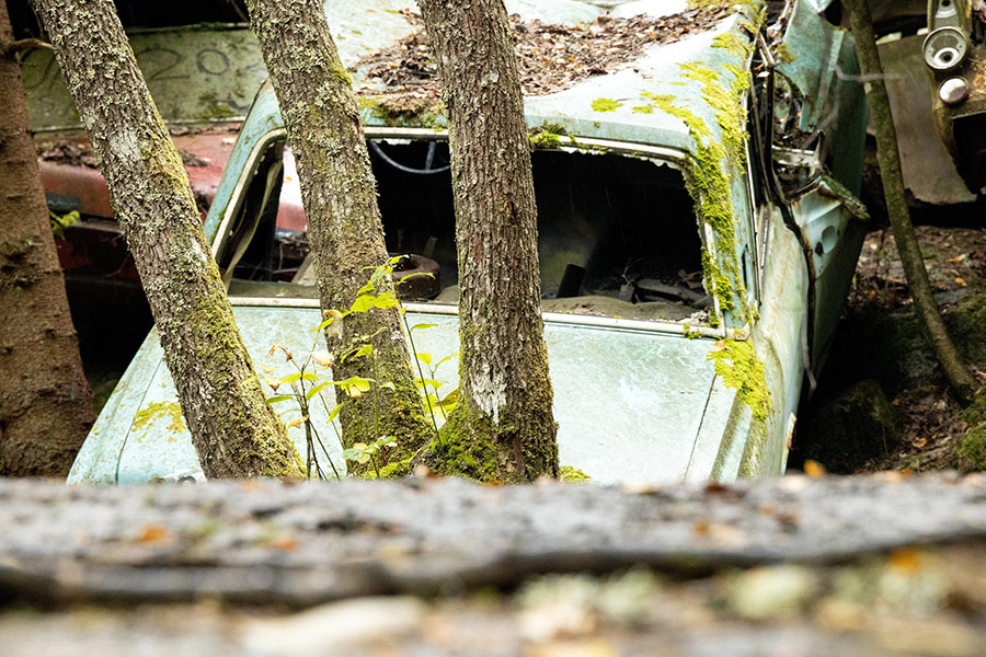 Abandoned car wreck