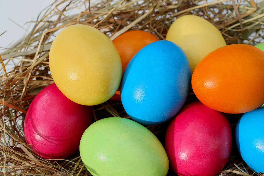Colorful easter eggs nest
