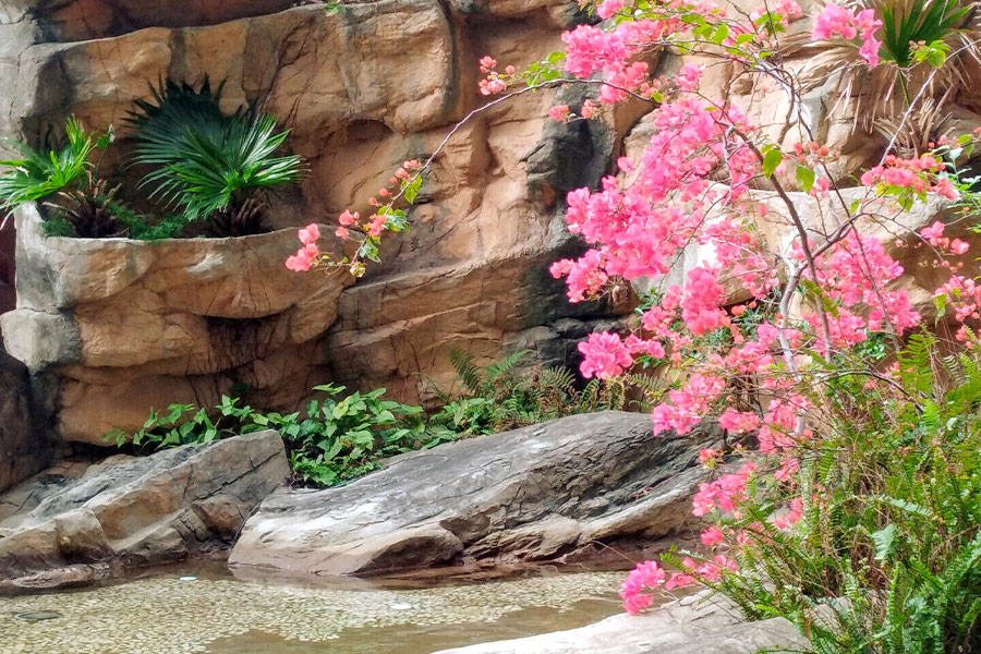 Spring equinox tree plants