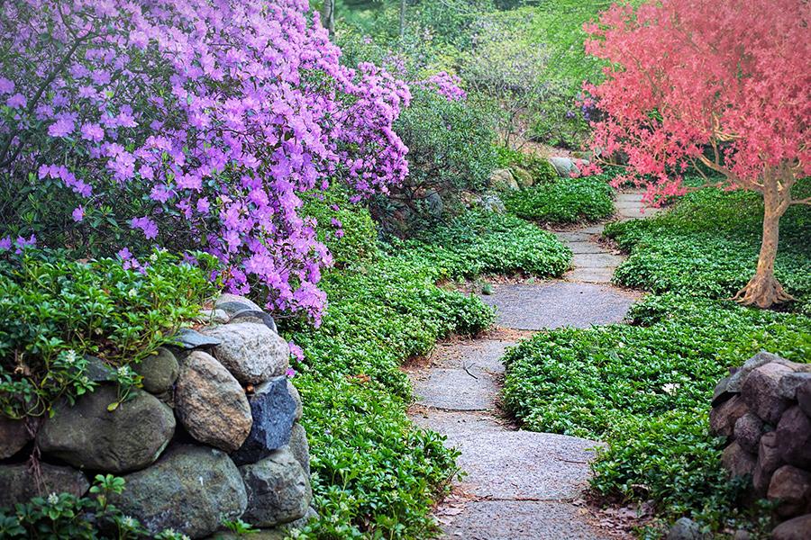 Flowering trees pathway