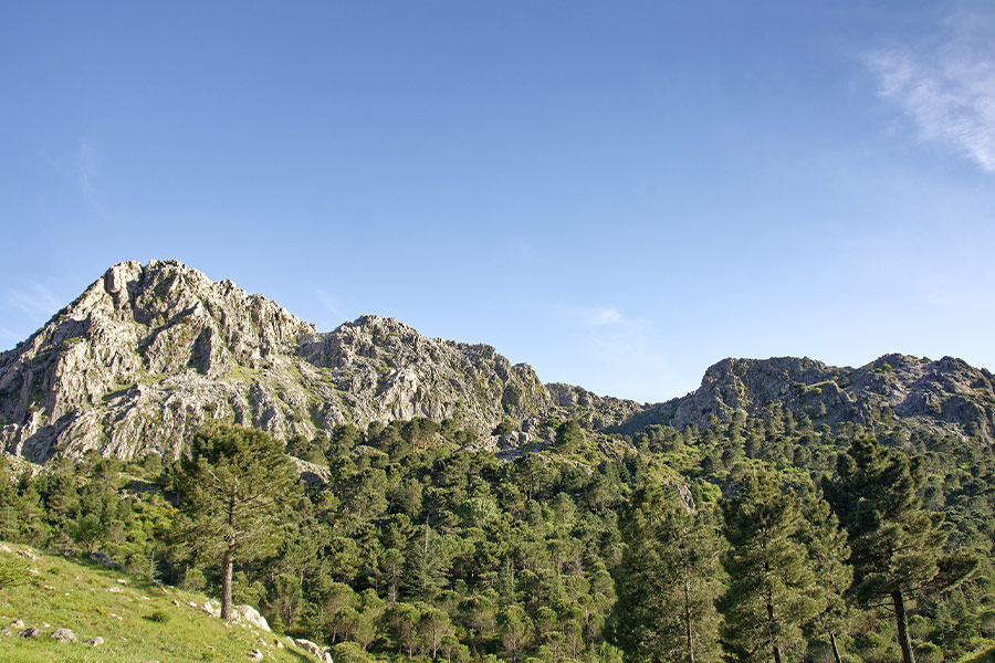 Province of Cadiz Spain