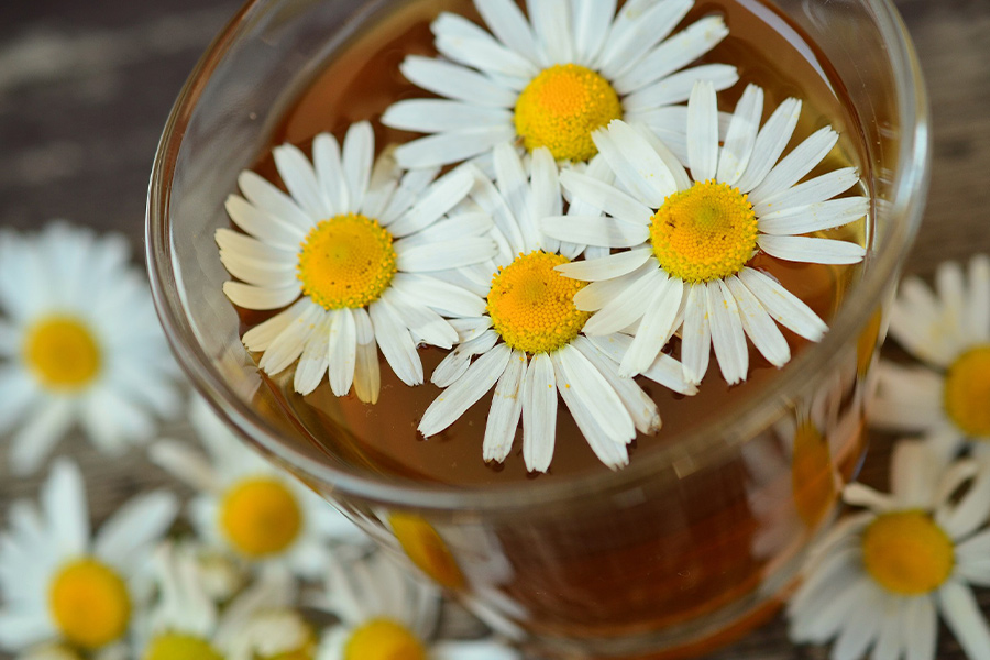 Chamomile drink