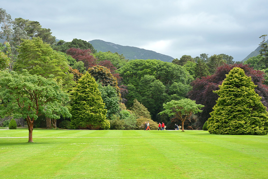 Park landscape english garden