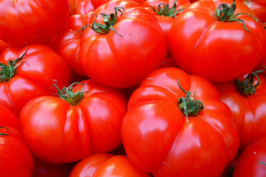 Ripe red tomatoes