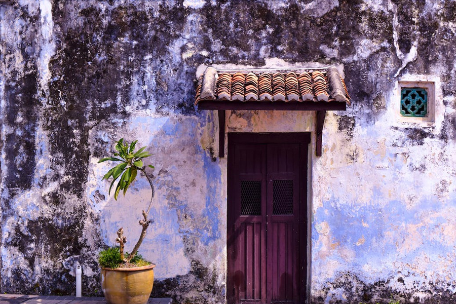 Green plant next door