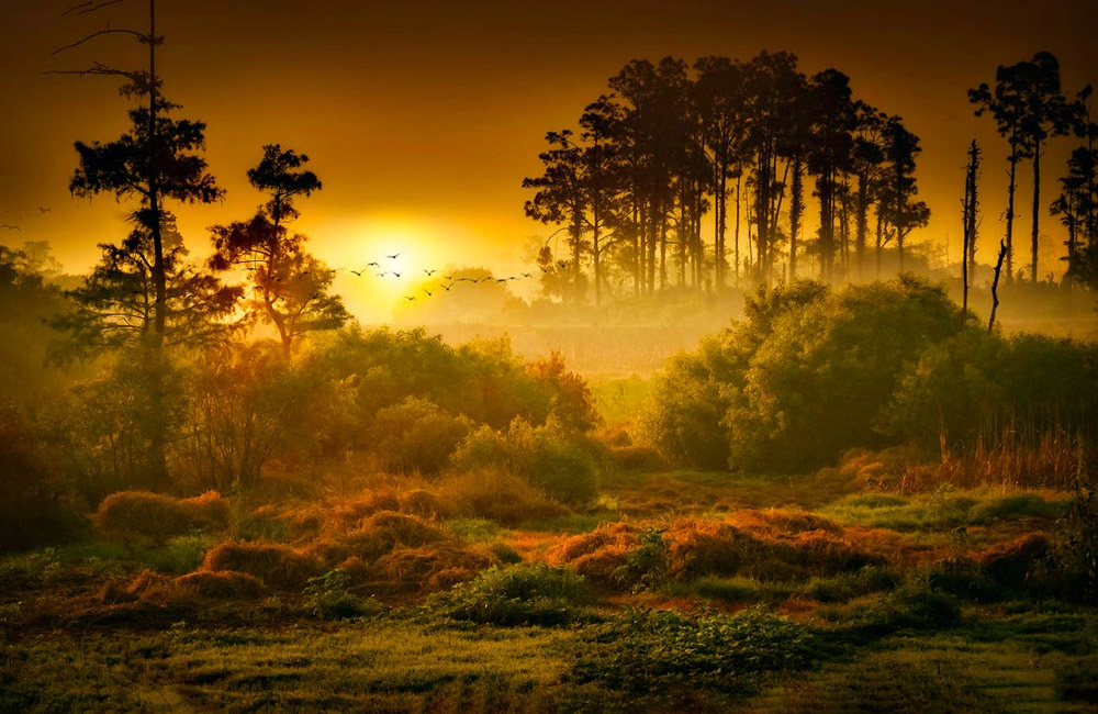 Beautiful nature landscape