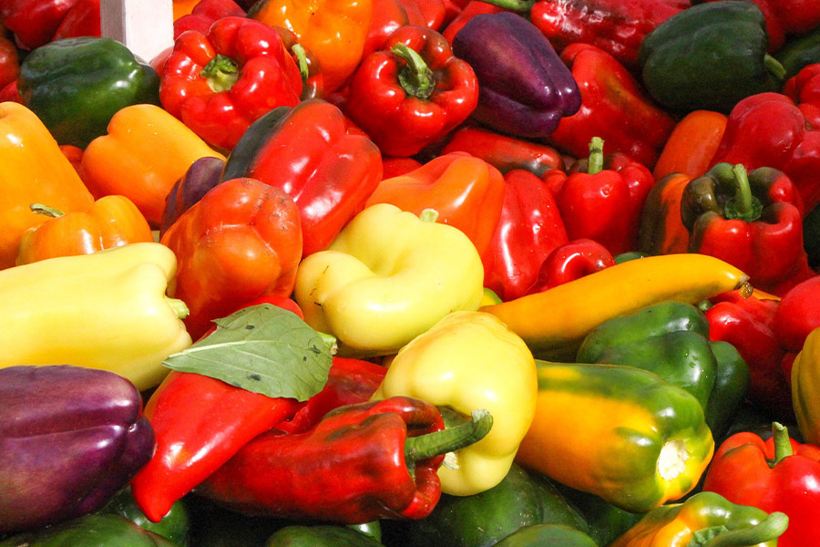 Healthy farmers fresh peppers
