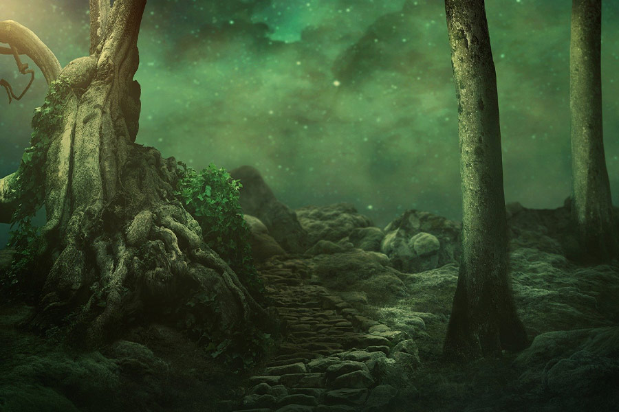 Mystical mossy trees area