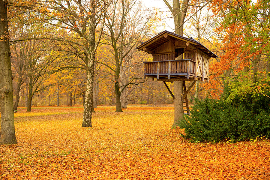 Construction of wooden house in the woods