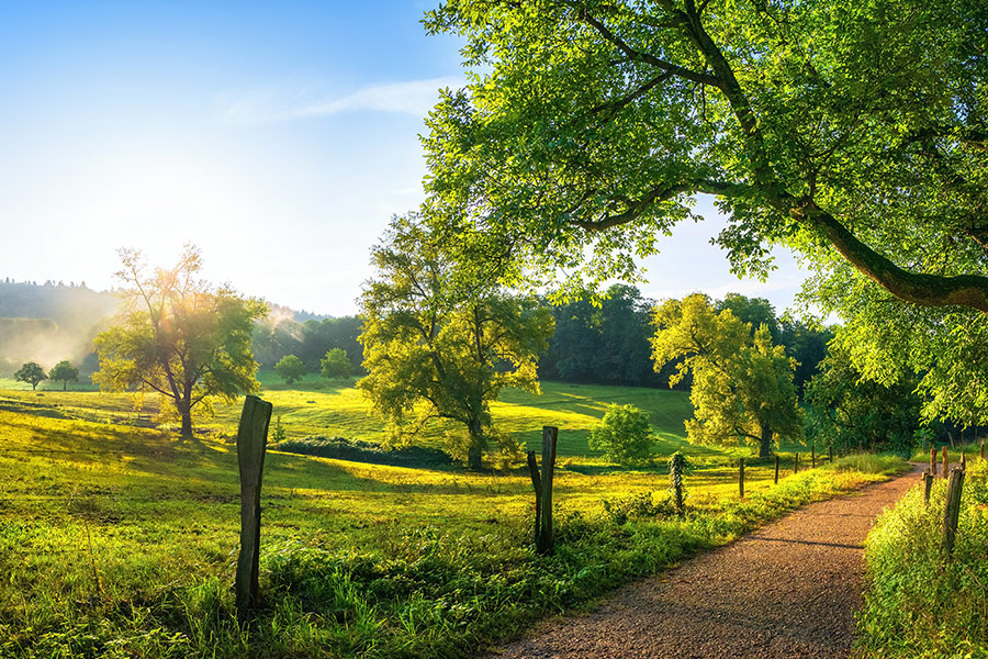 Rural landscape with path