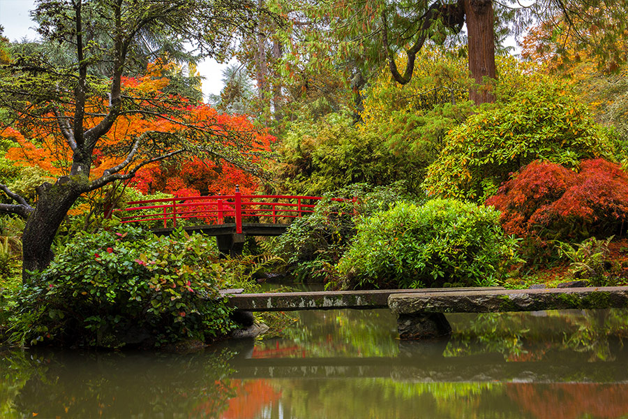 Beautiful japanese garden Kubota Seattle