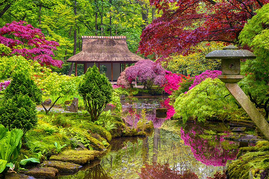 Amazing Japanese garden landscape Netherlands