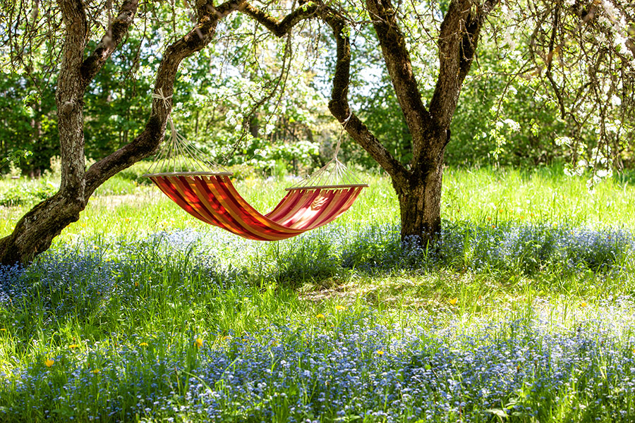 Beautiful landscape with red hammock