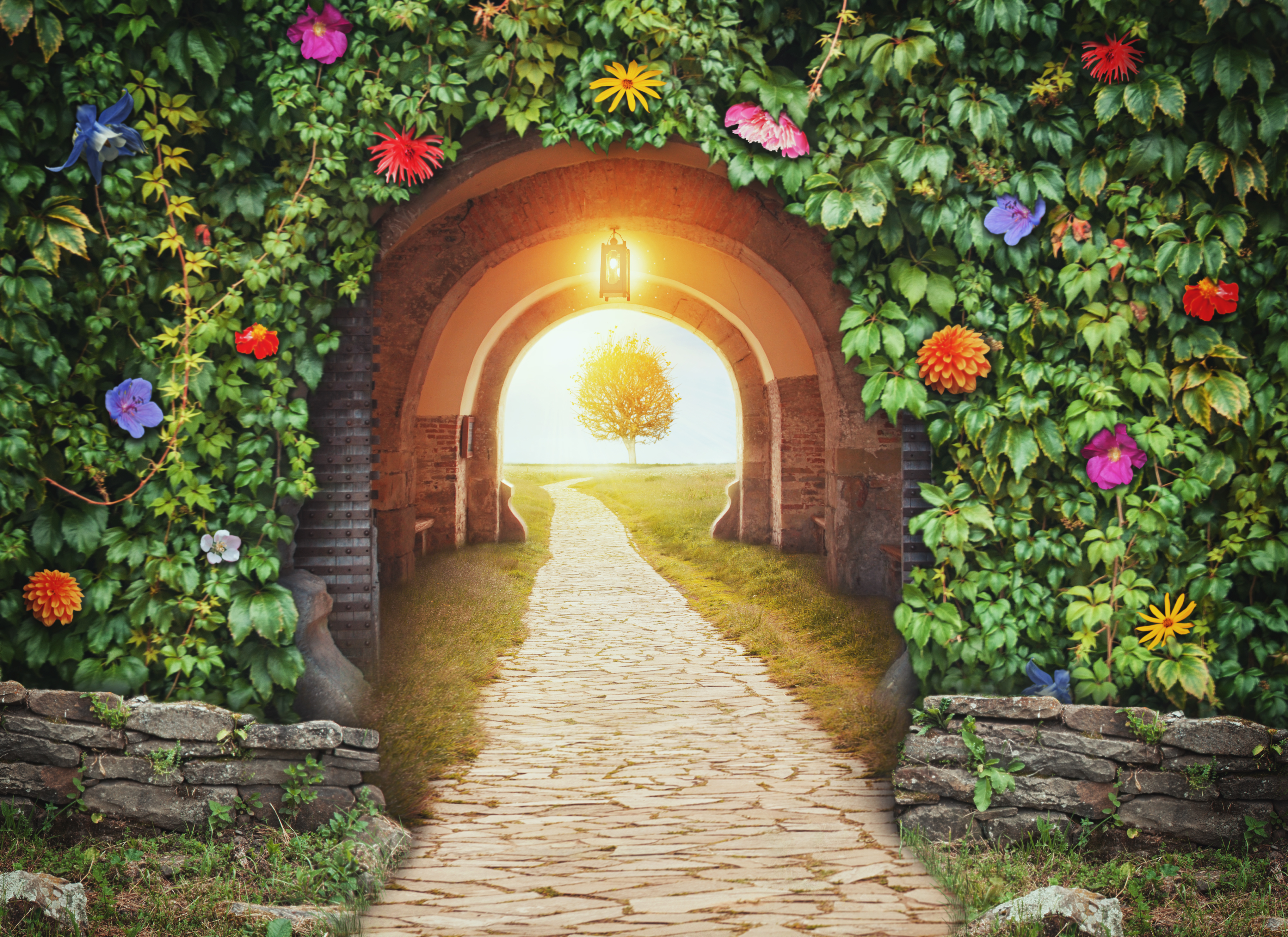 Mysterious gate entrance