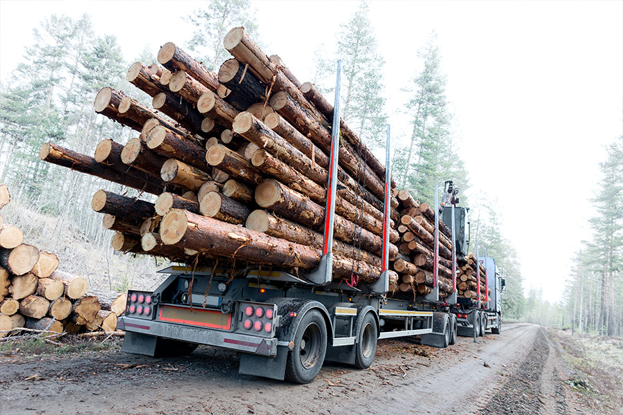 Lumber industry