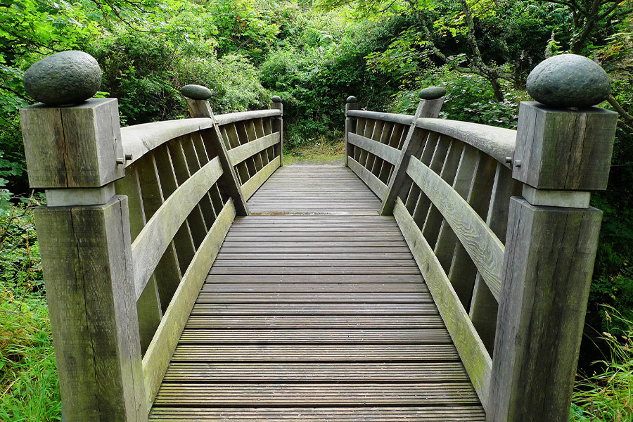 Crossing wooden bridge forest nature