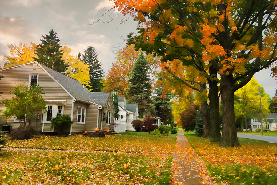 Beauty in nature residential district