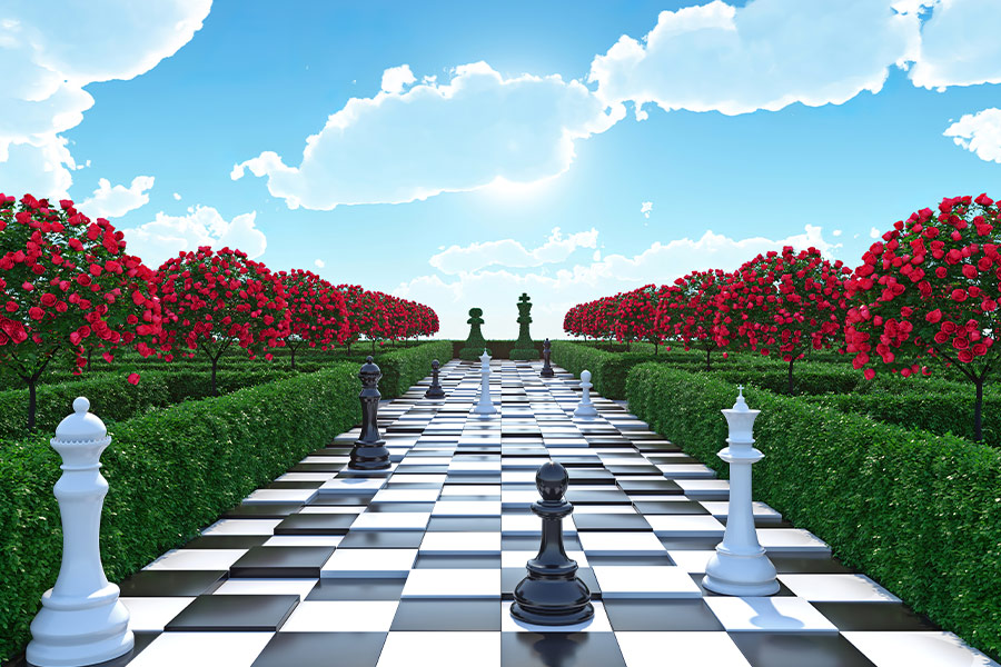 Maze chess garden