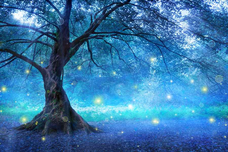 Lonely tree with mist and fireflies