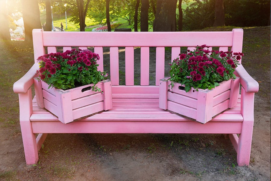 Pink bank in the park