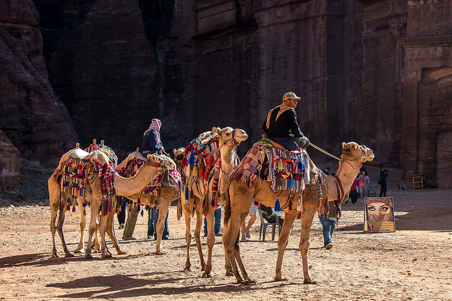 Desert people rides camel animals