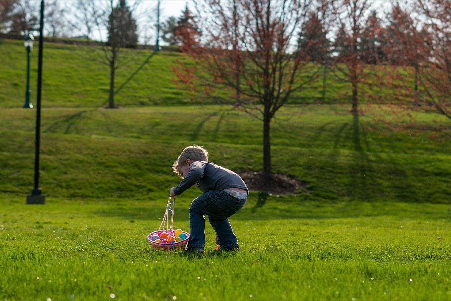 Little boy doing easter egg hunt
