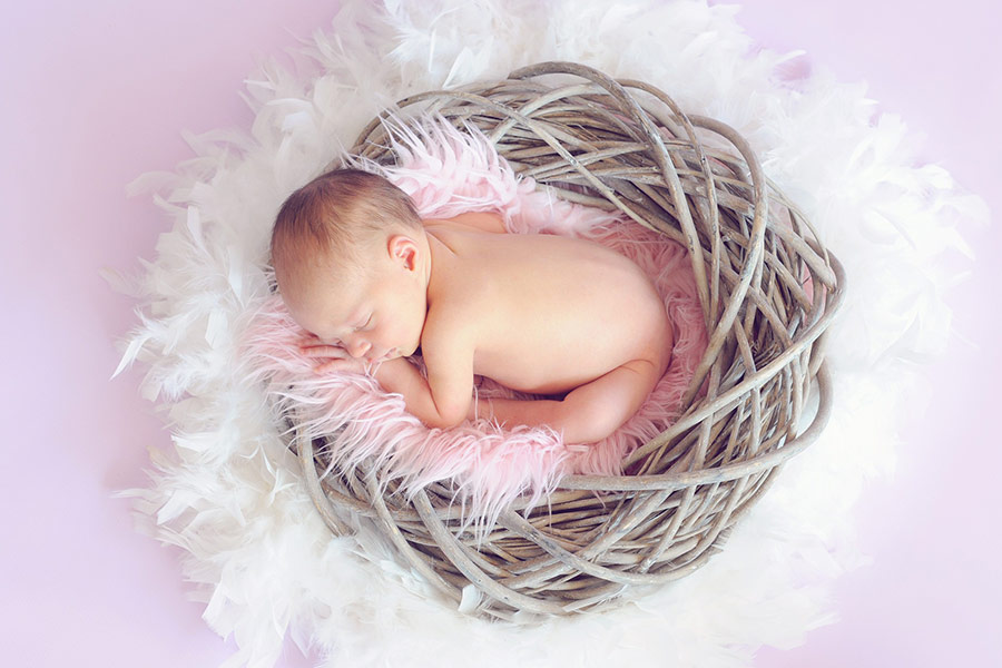 Newborn baby portrait