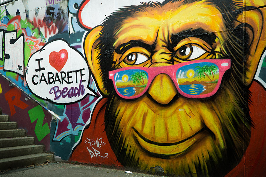 Gorilla wearing pink sunglasses
