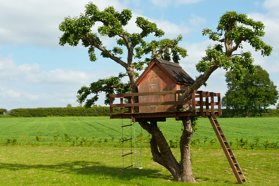 Creative tree house
