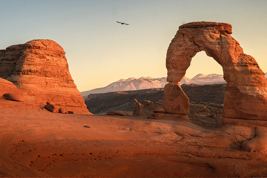 Delicate Arch in Moab